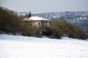 snow covered house