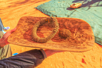 close up Australians cookies made of seeds. Northern Territory, Australia