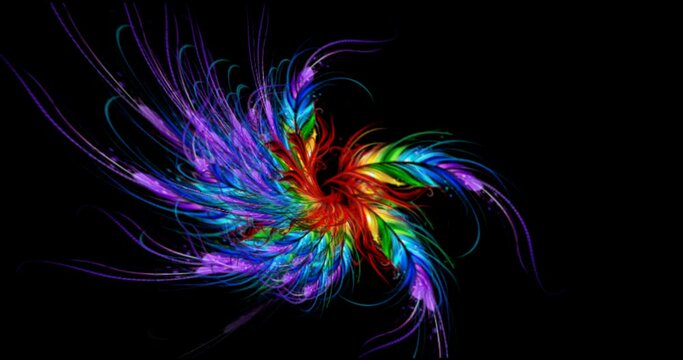 Fractal peacock feather