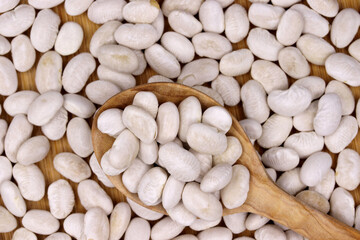 organic dried white beans in wooden spoon