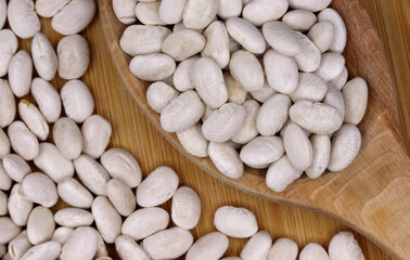 organic dried white beans in wooden spoon