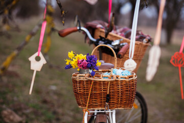 easter vintage bicycle with basket with spring flowers daffodils  and .bicycle with spring flowers outdoor