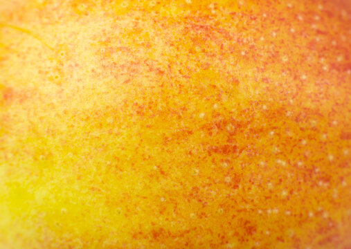 Close up photo of red apple background. Apples fruit peel texture, macro view. Beautiful natural wallpaper.