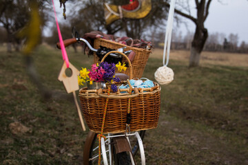 Fototapeta na wymiar easter vintage bicycle with basket with spring flowers daffodils and .bicycle with spring flowers outdoor