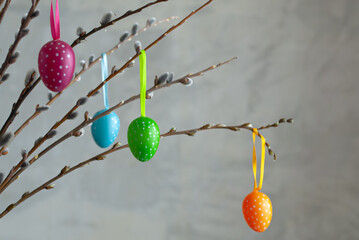 easter eggs on a gray background.colorful Easter eggs decorate the willow branches © fotofotofoto