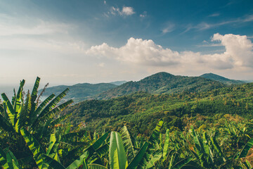 View of the hills of the Phuket Peninsula, Thailand.