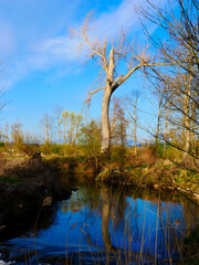 Der Fluss Kahl in den Kahlauen unweit der Stadt Kahl am Main