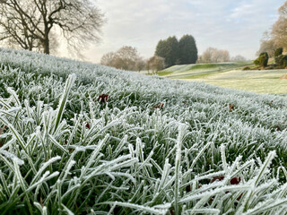 Close up of hoar frost covered grass bank in the winter sunshine.