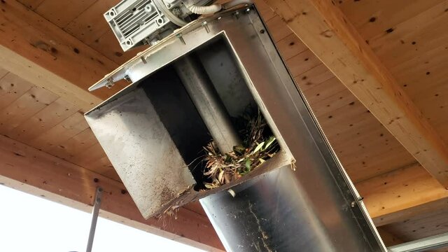 Oil mill defoliation machine process,olives rolling motion,italian extra virgin