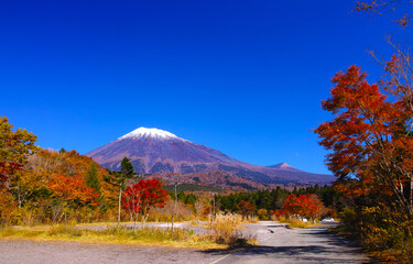 紅葉シーズンの富士山、富士宮市の富士スカイライン西臼塚駐車場から見る風景
