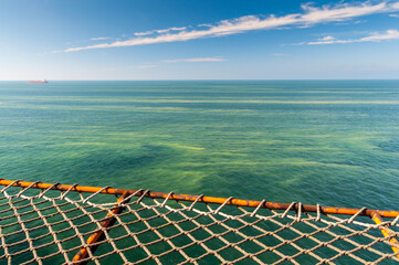 Kwitnące sinice w Morzu Bałtyckim / Blooming cyanobacteria in the Baltic Sea - obrazy, fototapety, plakaty