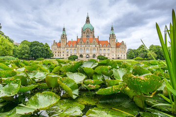 Neues Rathaus von Hannover mit Seerosen vom Maschteich im Vordergrund