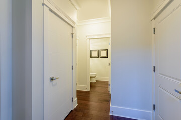 House interior. Entrance hallway with white door and hardwood floor.