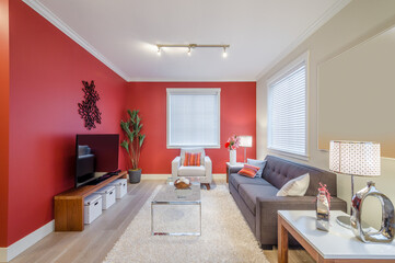 Interior design of a luxury living room