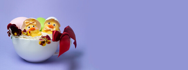 イースターエッグと生まれたてのひよこの女の子と男の子（兄弟姉妹）（イースター素材） © mimi@TOKYO