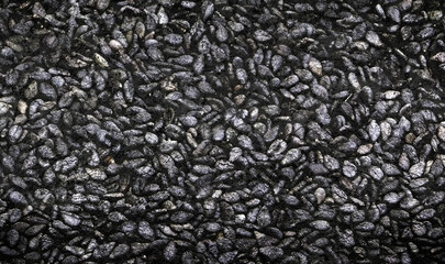 Seeds of black sesame background. Unpeeled sesame seeds. Healthy food. Nature vitamins. Vegan foods.Raw seeds of sesame