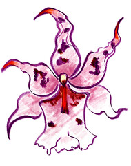 Phalaenopsis orchid pink violet purple flower. Outdoor and indoor tropical plant. Color pencils drawing imitation botanical floral illustration