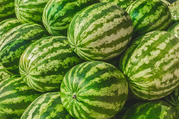 Heap of fresh green watermelons on the background market, close-up