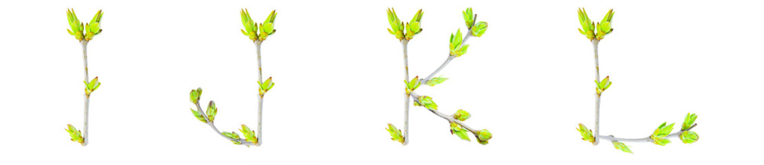 Letters I, J, K, L made of branches with green leaves