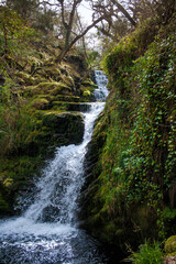 Fototapeta na wymiar O'Sullivans Cascade, waterfall, Killarney National Park