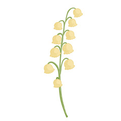 Flower lily of the valley isolated on white background. Beautiful hand drawn botanical sketches for any purpose.