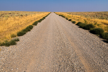 Prairie Country Road somewhere in Idaho