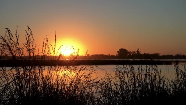Puesta de sol en laguna. Paisaje natural de la pampa Argentina. Atardecer sobre agua de lago con silueta de vegetaci&oacute;n, &aacute;rboles y p&aacute;jaros 