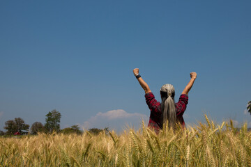 Fototapeta na wymiar Rear view of woman farmer standing with his outstretched in Barley field examining on blue sky background