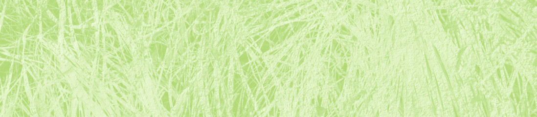 Obraz na płótnie Canvas abstract light green background with copy space for design