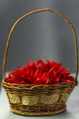 Red flower in wicker basket on plain gray background with space for text. Vertical image