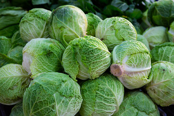 Image of fresh organic salad and cabbage in greengrocery shop