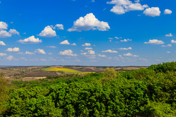 Fototapeta na wymiar Spring landscape with green trees, meadows, fields and blue sky