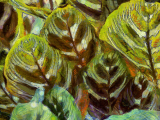 Obraz premium An ornamental shrub with beautiful leaves and various shapes Illustrations creates an impressionist style of painting.