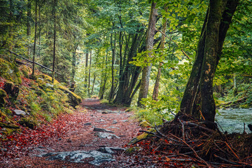 Idyllic autumnal hiking path at Erlautal (Erlau valley) near Kellberg, Passau, lower bavaria