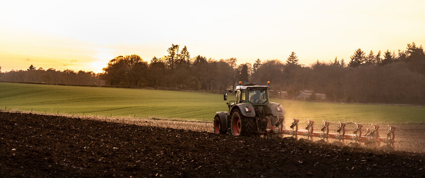 Fototapeta Ploughing a field at sunset with a tractor and plough, ready for crops on a farm