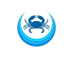 Circle beach wave with crab inside