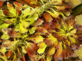 An ornamental shrub with beautiful leaves and various shapes Illustrations creates an impressionist style of painting.