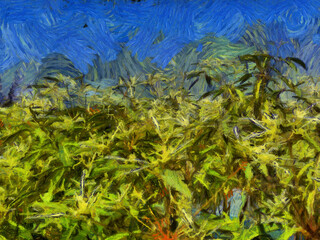 Tree leaves in the sky background Illustrations creates an impressionist style of painting.