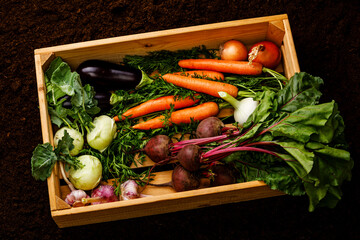 Fresh raw ripe vegetables Healthy food in wooden box on black ground background