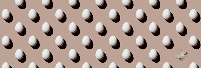 Chicken eggs and feather on beige background Pattern