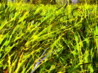 Grass flower bushes Illustrations creates an impressionist style of painting.