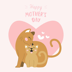 Mother cat with baby