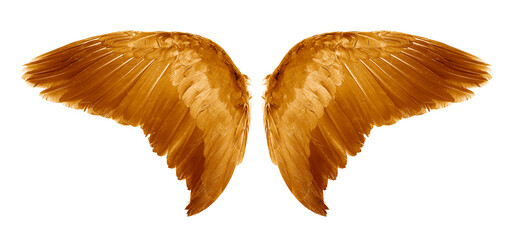 Brown Angel wings an isolated on white background
