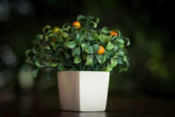 A close-up orange tree in a beautiful white ceramic pot for tabletop decoration design, fake orange tree, easy-care decorative plastic tree.
