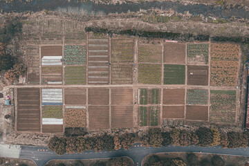 Aerial photography of autumn farmland