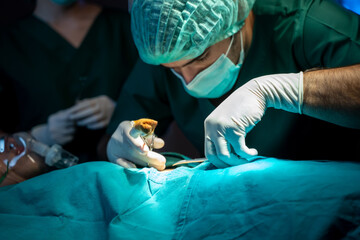 Team of professional surgeons and nurses suture wound after successful surgery in surgery room.