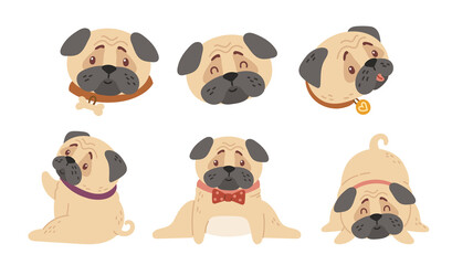 Fototapeta premium Cute baby pugs kids isolated clipart bundle