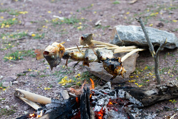 Grilled fish in adventure style