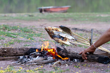 Grilled fish in adventure style