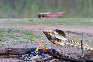Grilled fish in adventure style